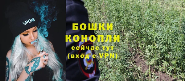 экстази Белокуриха