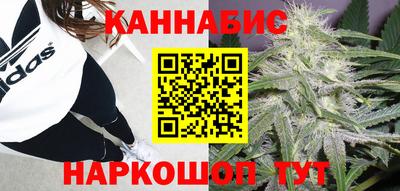 крисы Апшеронск