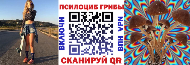 Псилоцибиновые грибы Psilocybine cubensis Алексин