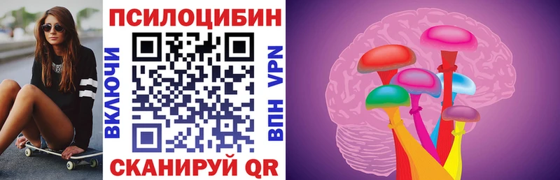 Галлюциногенные грибы Cubensis  KRAKEN ТОР  Алексин 